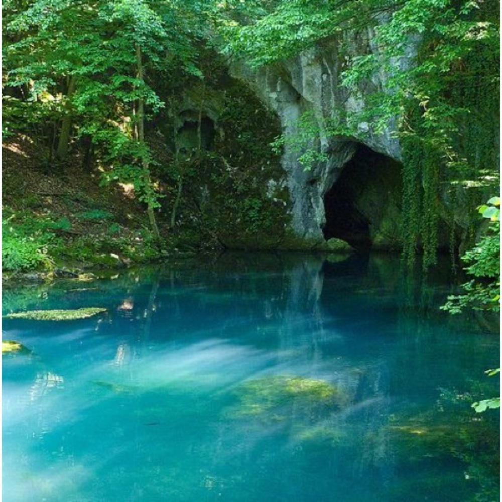 Meet your Posher, Jessalynn